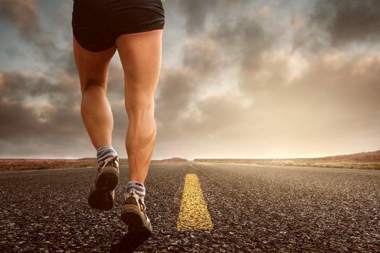 Beintrainer Test