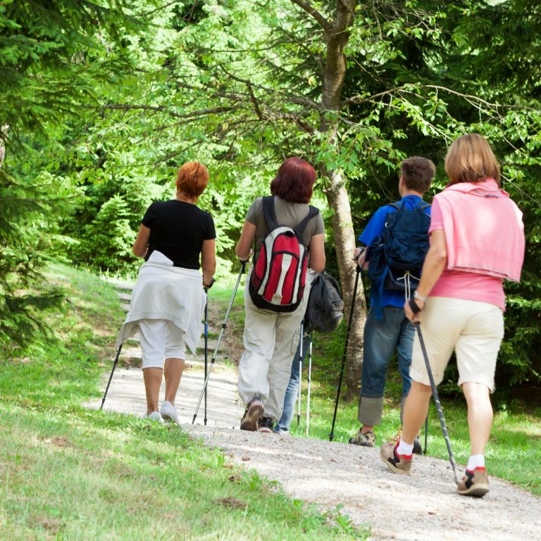 Nordic Walking Stöcke